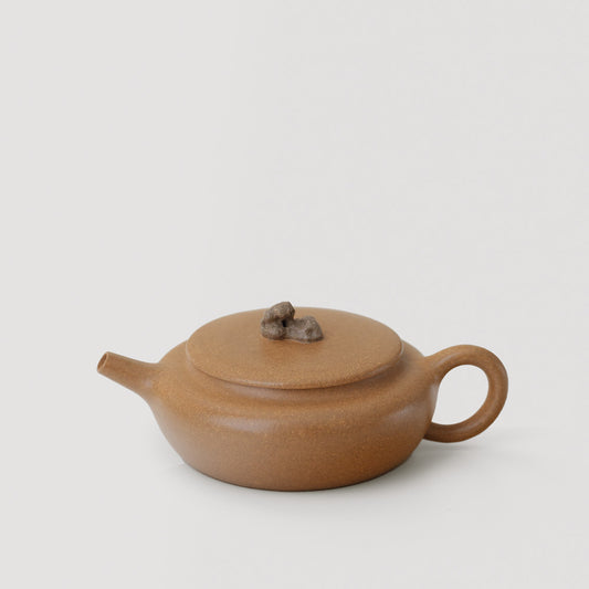 Théière dorée Duan Ni Yongshi Zisha